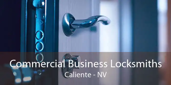 Commercial Business Locksmiths Caliente - NV