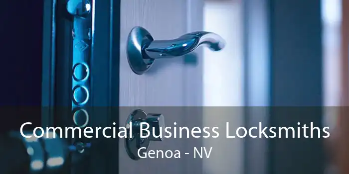 Commercial Business Locksmiths Genoa - NV
