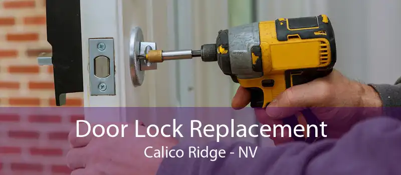 Door Lock Replacement Calico Ridge - NV