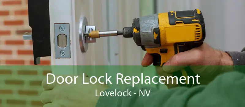 Door Lock Replacement Lovelock - NV