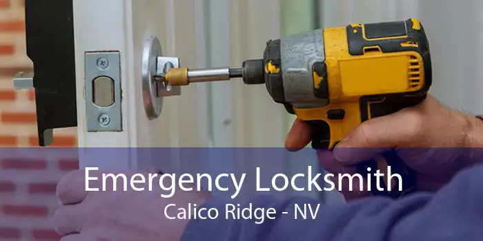 Emergency Locksmith Calico Ridge - NV