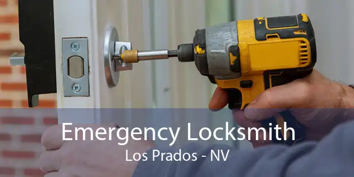 Emergency Locksmith Los Prados - NV