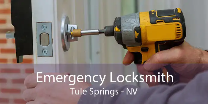 Emergency Locksmith Tule Springs - NV
