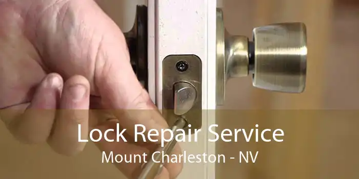 Lock Repair Service Mount Charleston - NV