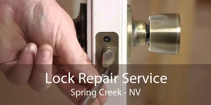 Lock Repair Service Spring Creek - NV