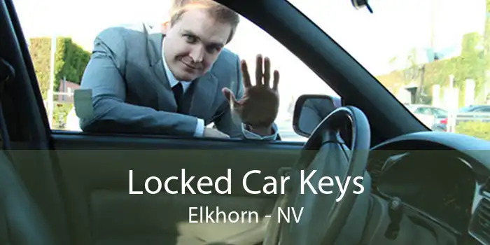 Locked Car Keys Elkhorn - NV