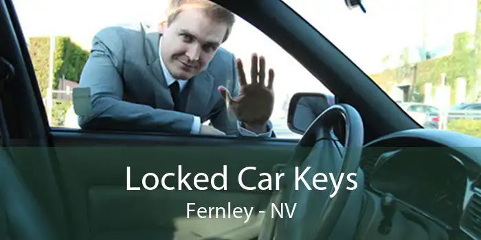 Locked Car Keys Fernley - NV