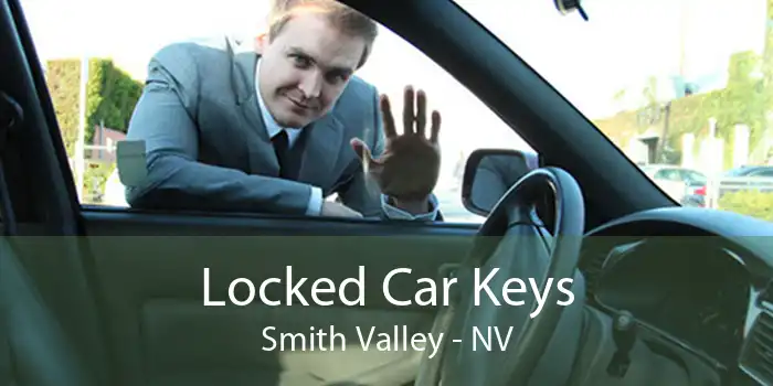 Locked Car Keys Smith Valley - NV
