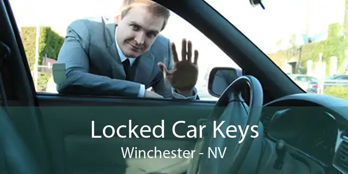 Locked Car Keys Winchester - NV