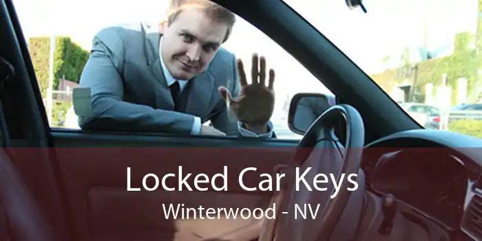 Locked Car Keys Winterwood - NV