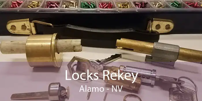 Locks Rekey Alamo - NV