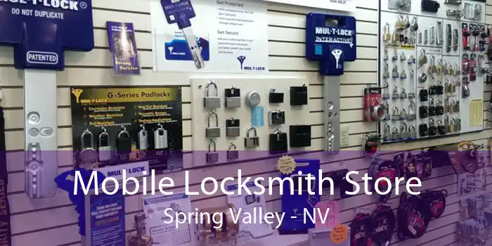 Mobile Locksmith Store Spring Valley - NV
