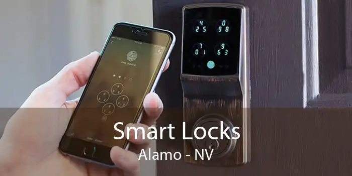 Smart Locks Alamo - NV
