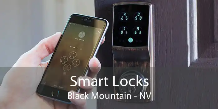 Smart Locks Black Mountain - NV