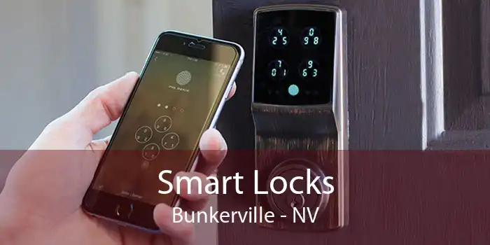Smart Locks Bunkerville - NV
