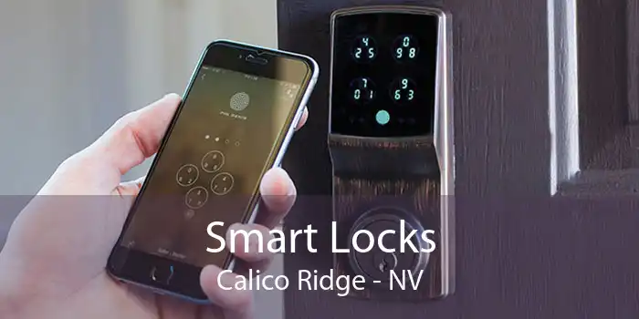 Smart Locks Calico Ridge - NV