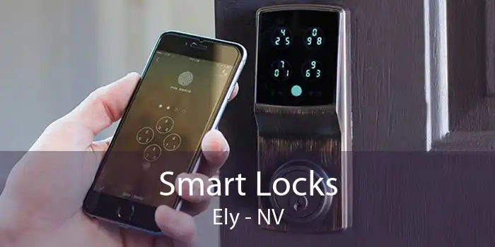 Smart Locks Ely - NV