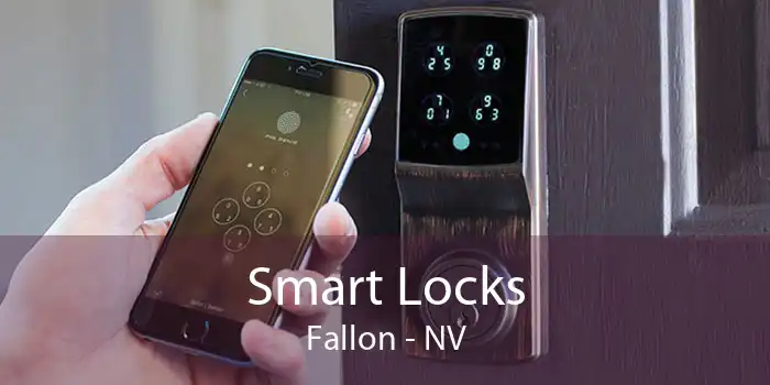 Smart Locks Fallon - NV