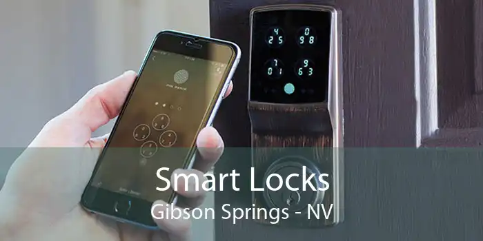 Smart Locks Gibson Springs - NV