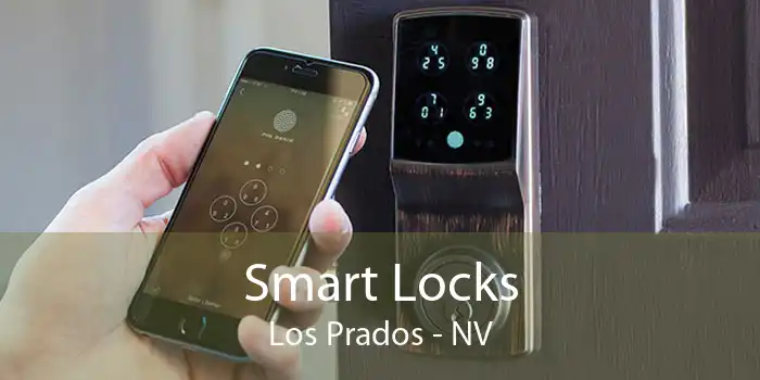Smart Locks Los Prados - NV
