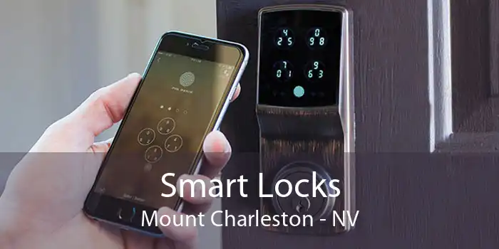 Smart Locks Mount Charleston - NV