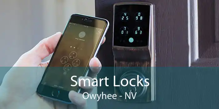 Smart Locks Owyhee - NV