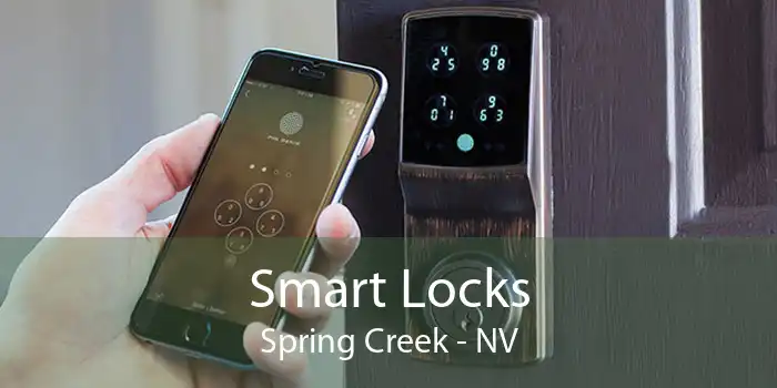 Smart Locks Spring Creek - NV