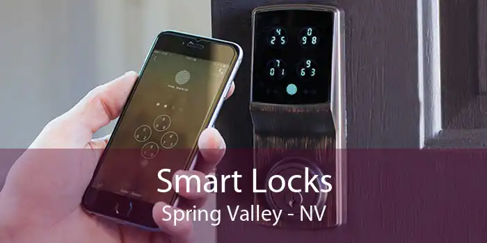 Smart Locks Spring Valley - NV