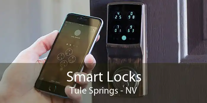 Smart Locks Tule Springs - NV