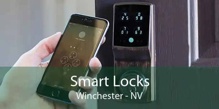Smart Locks Winchester - NV